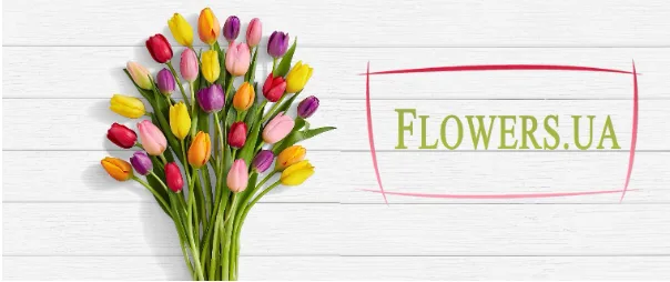 Цікаве від Flowers.ua: які квіти обрати, що вони символізують та як за ними доглядати?