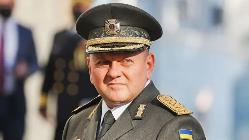 росіян та інших ворогів треба вбивати, просто вбивати – Залужний – From-UA: Новини України