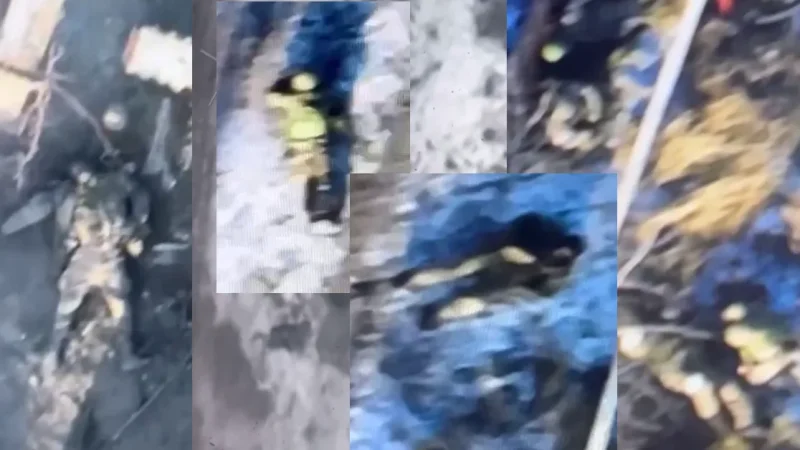 Соледар. ВСУ расстреливают “вагнеровцев” как в тире (ВИДЕО) 18+ – From-UA: Новини України
