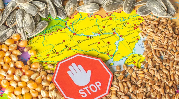 Если запрет на экспорт зерна будет продлен, то Украина готова подать иски в ВТО – From-UA: Новини України