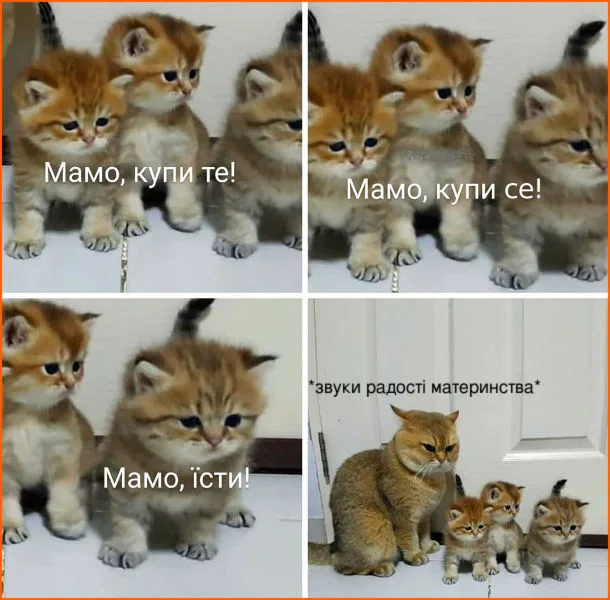 Фотоприколи та анекдоти: що таке сучасний український гумор
