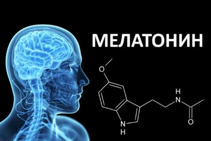 «Гормон сну» мелатонін: чим корисний та коли дійсно треба його вживати – From-UA: Новини України