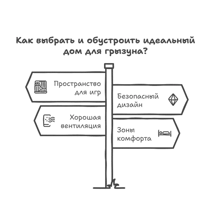 6790d494e2c1c.webp