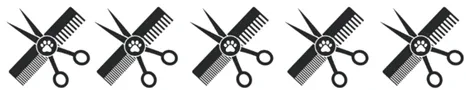 689de19c8f18a.webp